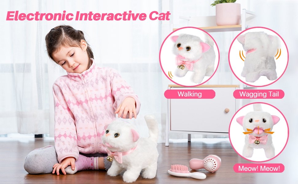 Kitten Pet Kitty Fluffy Cat Soothing