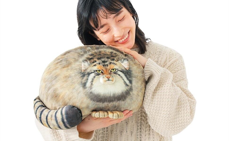 Cat Plush Body Pillow, Cute Stuffed Animals Soft Plushies