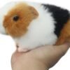 Realistic and Super Soft 8" Guinea Pig Plush