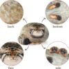 Cat Plush Body Pillow 45cm/18inch, Pallas Cat Stuffed Animal, Steppe Cat Cute Plushies for Girls, Soft Plush Pillow, Kitten Plush Throw Pillow Doll Big Plush Toy Decoration Doll Gift for Kids Boys |