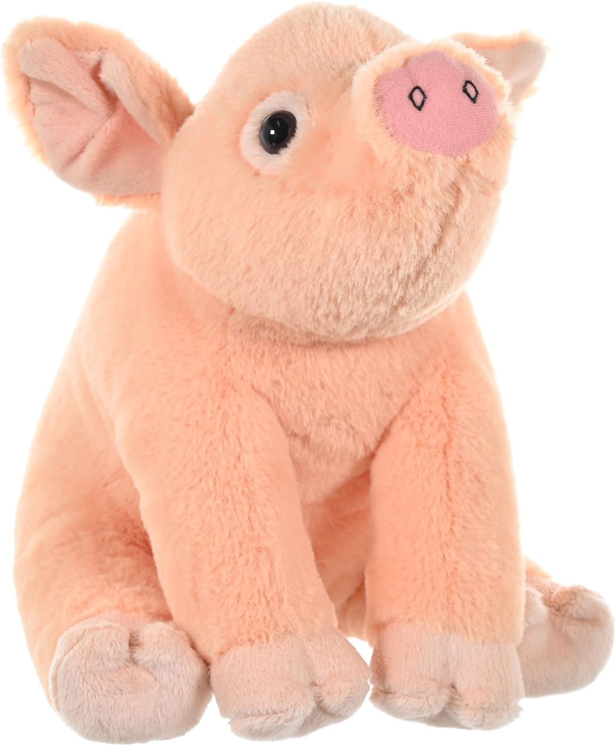 Meet the Adorable 8-Inch Orange Pig Baby Plush Toy