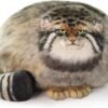 Cat Plush Body Pillow 45cm/18inch, Pallas Cat Stuffed Animal, Steppe Cat Cute Plushies for Girls, Soft Plush Pillow, Kitten Plush Throw Pillow Doll Big Plush Toy Decoration Doll Gift for Kids Boys |