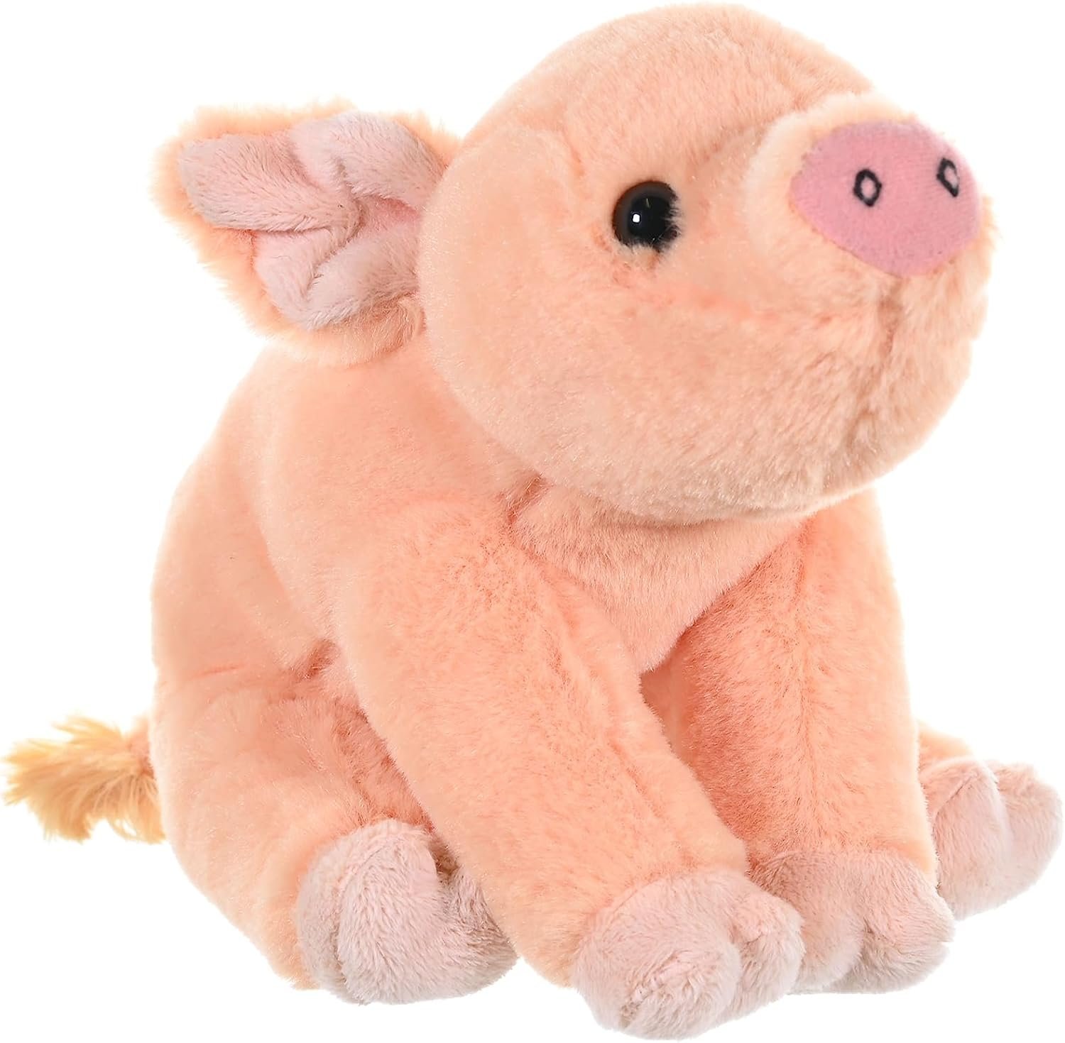 Meet the Adorable 8-Inch Orange Pig Baby Plush Toy